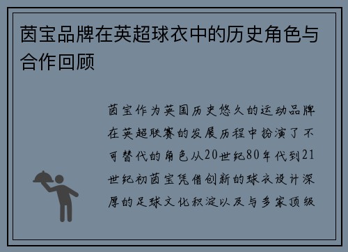 茵宝品牌在英超球衣中的历史角色与合作回顾