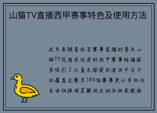 山猫TV直播西甲赛事特色及使用方法