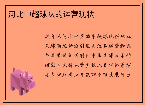 河北中超球队的运营现状